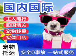黄山屯溪空运国际宠物托运 【国